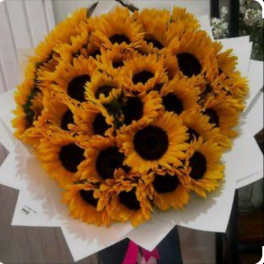 Large hand-tied bouquet of bright yellow sunflowers wrapped in white paper