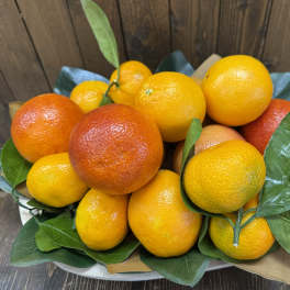 Arrangement of oranges and citrus fruit with green leaves