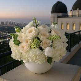 Griffith's Glow