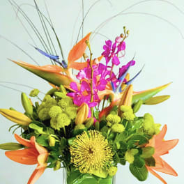 Tropical bouquet with orange bird-of-paradise and pink orchids in a glass vase