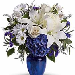 White lilies and daisies with blue hydrangea in a cobalt vase