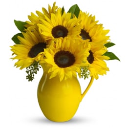 Teleflora's Sunny Day Pitcher of Sunflowers