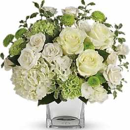 White roses and green pompons in a clear square vase