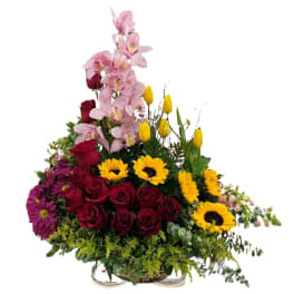 Diseño Orquídea.