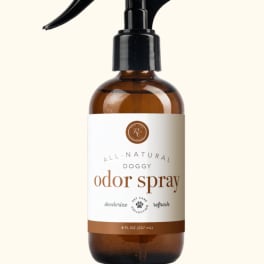 Amber spray bottle labeled doggy odor spray