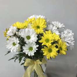 Yellow and white daisy bouquet in a glass vase with a gingham ribbon