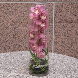 Pink orchids arranged in a tall clear glass cylinder vase