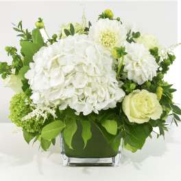 White and pale green floral arrangement in a square glass vase