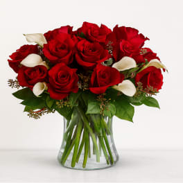 Be Still My Heart - Dozen Red Roses
