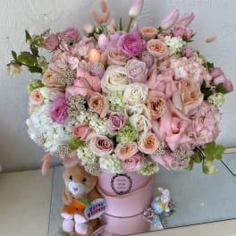 Song of spring