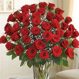 Bouquet of red roses in a clear glass vase
