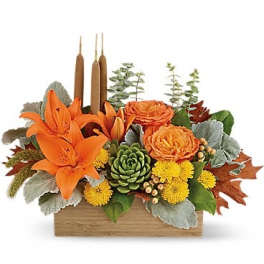 Teleflora's Fall Bamboo Garden