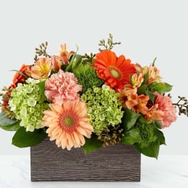 Mixed orange and peach flowers in a rectangular wooden box