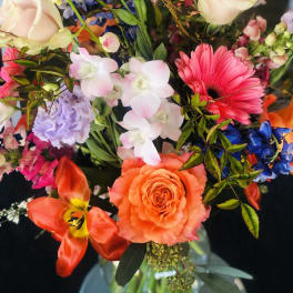 Explosion of Colors