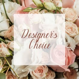 Soft pink and white roses with a "Designer's Choice" label