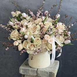 Silk blush