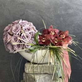 Orchid Muse