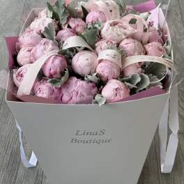 Pink peonies