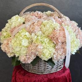Basket of pale pink and cream hydrangeas with ribbon handles