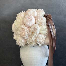 Ivory Peony Dream