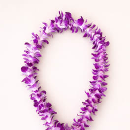 Hawaiian Lei