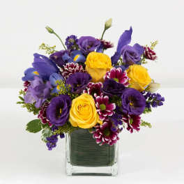 Violet Jubilee