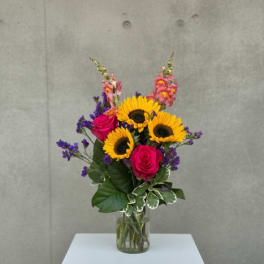 Sunflower Power