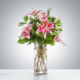Tall clear glass vase with pink and white lilies arranged in a loose bouquet