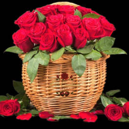 Basket of red roses with scattered rose petals