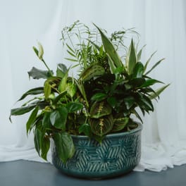 Ceramic Dish Garden 12in