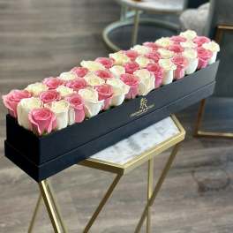 Sweet Rose