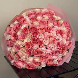 Tenderness That Speaks Without Words