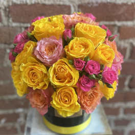 Summer Nights - Santa Clarita Valley Florist