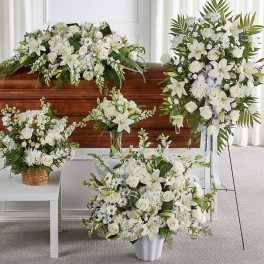 GRACE AND COMFORT COLLECTION