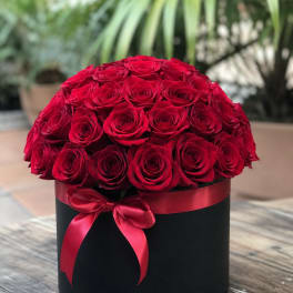 Red Elegance Box – 36 Roses