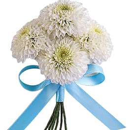White chrysanthemum bouquet tied with a blue ribbon