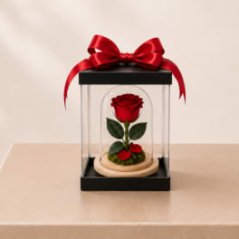 Forever Preserved Rose – Classic Red (Height: 6.69 ")