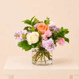 Blush Garden Rose Vase
