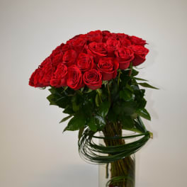 For my Love