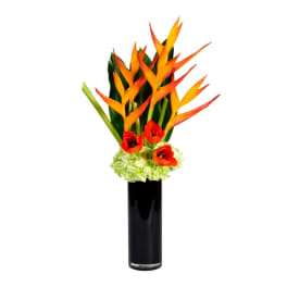 Tropical flower arrangement in a tall black vase with orange blooms and red tulips