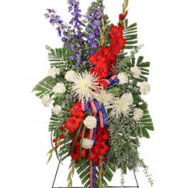 Salute To A Service Member Standing Spray