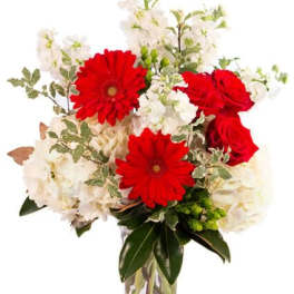 Red Frost Floral Arrangement