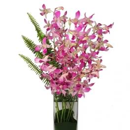 Dazzling Dendrobiums Orchid Arrangement