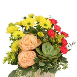 Succulent Peach Basket Arrangement