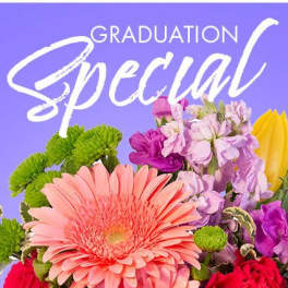 Graduation Special Designer's Choice