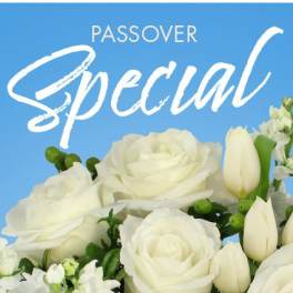 Passover Special Designer's Choice