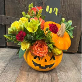 Trick-or-Treat Fall