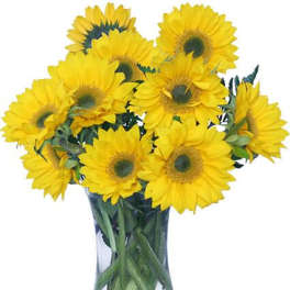 Hello Sunshine! Vase of Flowers