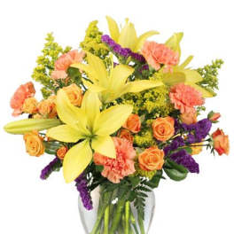 Bursting With Glee! Arrangement