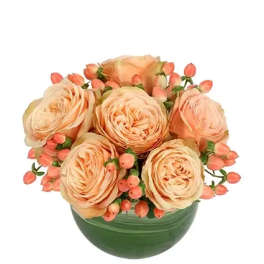 Cozy Coral Rose Arrangement